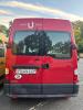 982opel_movano_coffre.jpg